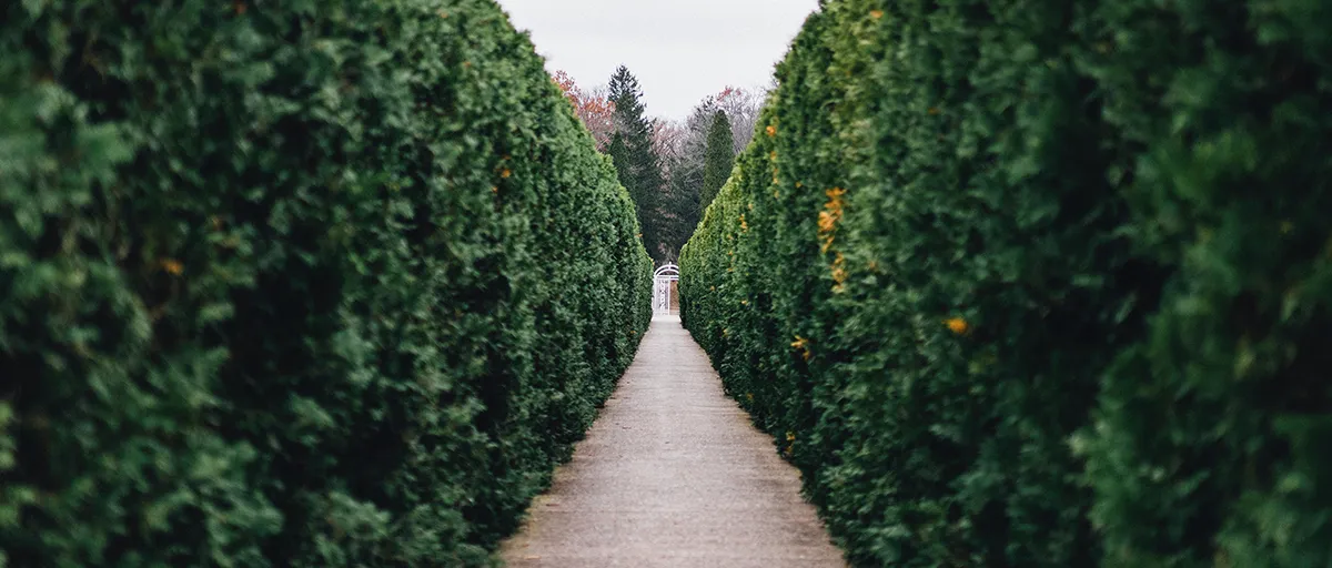 Front Page -NatureScape Shop banner912